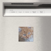 Aimant Rouge et blanc, cheveux longs, visage de chat tabb (In Situ (Lave-vaisselle))