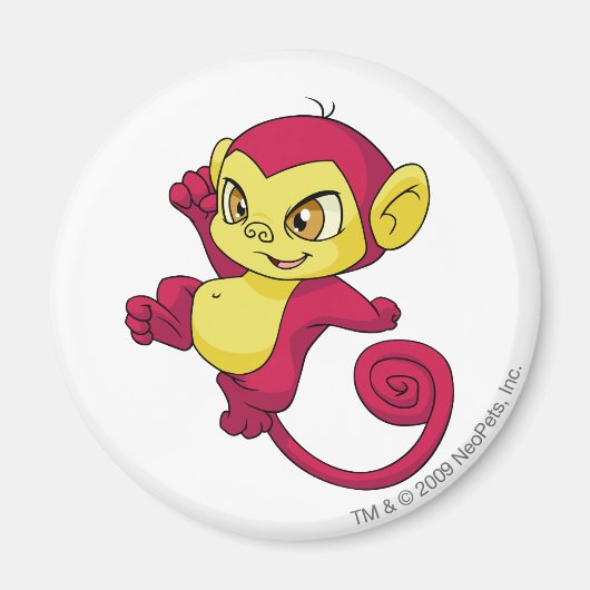 Aimant Rouge minci (Devant)