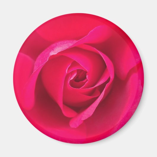 Aimant Rouge romantique Rose rose v2 (Devant)