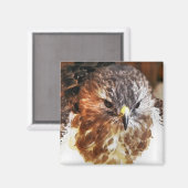 AIMANT ROUGE TAILLÉ HAWK (Recto/Verso)