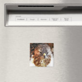 AIMANT ROUGE TAILLÉ HAWK (In Situ (Lave-vaisselle))