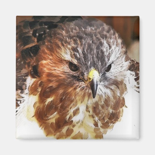 AIMANT ROUGE TAILLÉ HAWK (Devant)