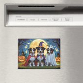 Aimant Rough Collie Chiens Citrouille Halloween Funny (In Situ (Lave-vaisselle))