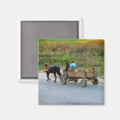 Aimant Roumanie, Cheval et transport en chariot (Recto/Verso)