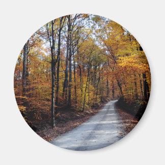 Aimant Route d'automne