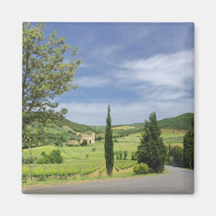 Aimant Route de campagne entre cyprès et