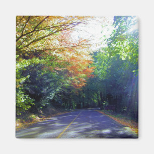 Aimant Route de Portland, Orégon à la roseraie