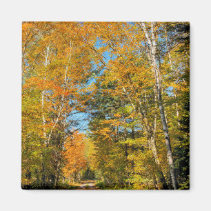 Aimant Route rurale couleurs d'automne New Hampshire