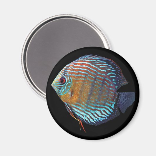 Aimant Royal Blue Discus (Recto/Verso)