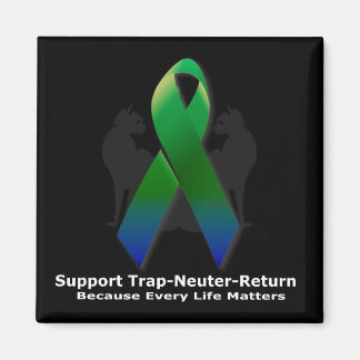 Aimant Ruban de l'aimant de l'espoir