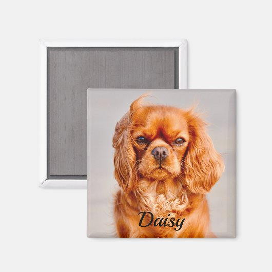 Aimant Ruby Cavalier King Charles Spaniel (Recto/Verso)