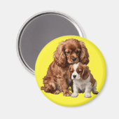 Aimant Ruby Cavalier Spaniel et son chiot Blenheim (Recto/Verso)