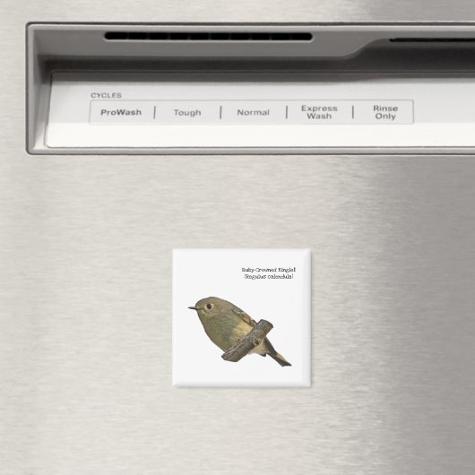 Aimant Ruby-Crowned Kinglet (In Situ (Lave-vaisselle))
