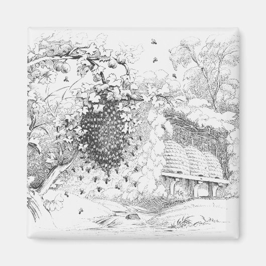 Aimant ruches d'abeilles vintages (Devant)