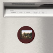 Aimant Rue d'Alsace-Lorraine Toulouse France (In Situ (Lave-vaisselle))