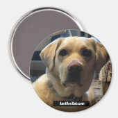 Aimant Ruger août 2020 (Recto/Verso)