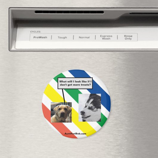 Aimant Ruger dans le futur (In Situ (Lave-vaisselle))