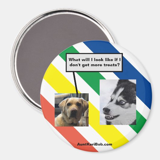 Aimant Ruger dans le futur (Recto/Verso)