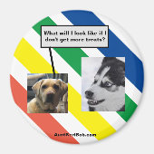 Aimant Ruger dans le futur (Devant)