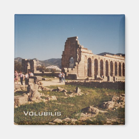 Aimant Ruines de Volubilis (Devant)