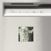 Aimant Ruines mayas antiques Photo Carré conçu (In Situ (Lave-vaisselle))