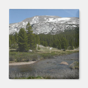 Aimant Ruisseau de montagne de High Country II à Yosemite