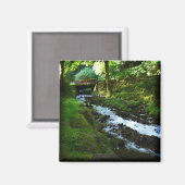 Aimant Runoff de Wahkeena Falls, Oregon (Recto/Verso)