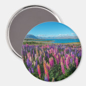 Aimant Russle Lupines au lac Tekapo | Nouvelle-Zélande (Recto/Verso)