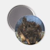 Aimant Rusty le Caniche (Recto/Verso)