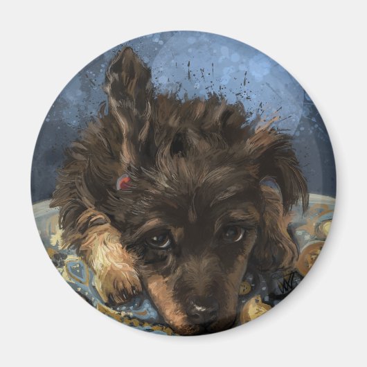 Aimant Rusty le Caniche (Devant)