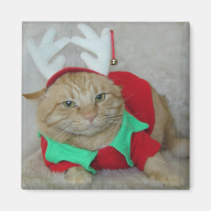 Aimant Rusty l'elfe renne