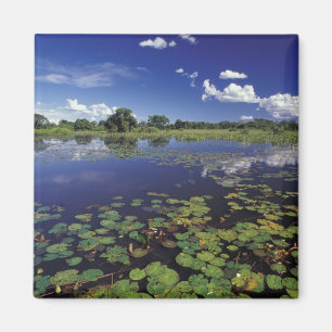 Aimant S.A., Brésil, Voies navigables dans le Pantanal