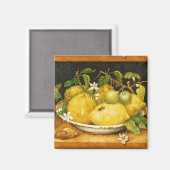 AIMANT S FRUITS LÉMONS ET FLEURS BLANCHES (Recto/Verso)