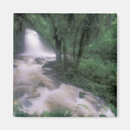 Aimant SA, Pérou, S.H. Machu Picchu, Cascade et Cloud (Devant)