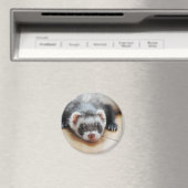 Aimant Sable Ferret (In Situ (Lave-vaisselle))