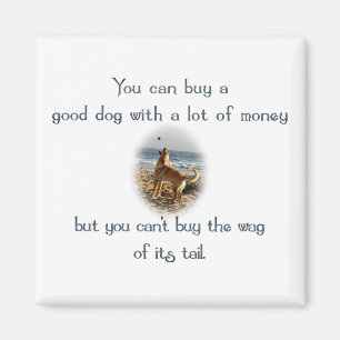 Aimant Sac de la queue