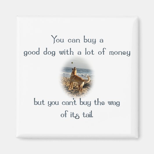 Aimant Sac de la queue (Devant)