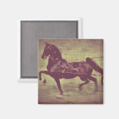 Aimant Saddlebred Song (Recto/Verso)