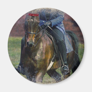 Aimant Saddleseat