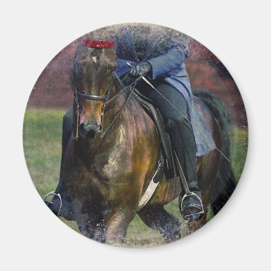 Aimant Saddleseat (Devant)