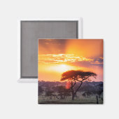 Aimant Safari dans le Parc National du Serengeti (Recto/Verso)