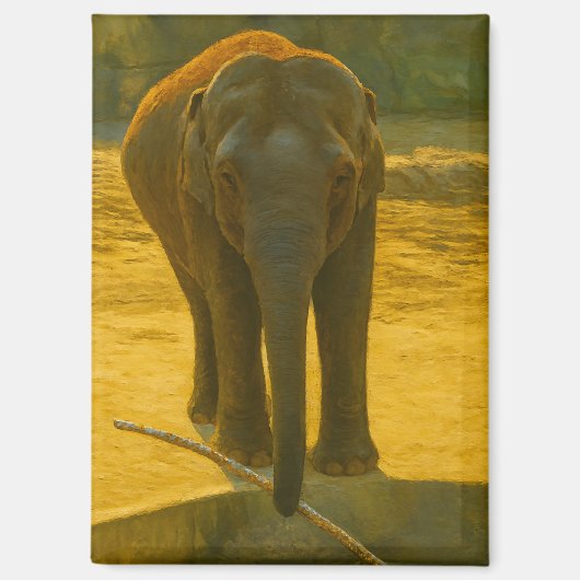 Aimant Sagesse des éléphants d'or - faune majestueuse (Recto)
