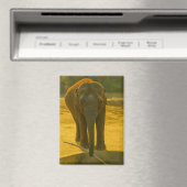 Aimant Sagesse des éléphants d'or - faune majestueuse (In Situ (Lave-vaisselle))