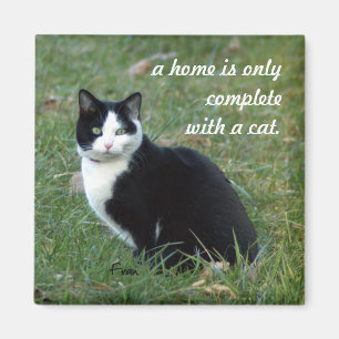 Aimant sagesse du chat