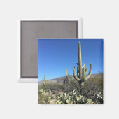 Aimant Saguaro Cactus (Recto/Verso)