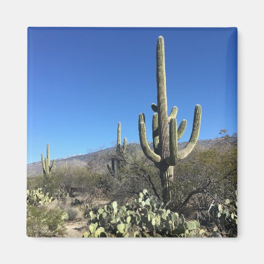Aimant Saguaro Cactus (Devant)
