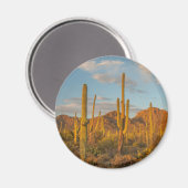 Aimant Saguaro cactus at sunset (Recto/Verso)