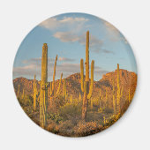 Aimant Saguaro cactus at sunset (Devant)