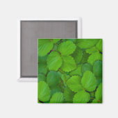 Aimant Saint Basil Tulsi Green Mint Feuilles (Recto/Verso)