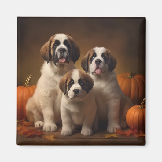 Aimant Saint Bernard Puppy Automne Citrouille (Devant)
